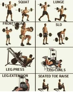 Athletic Gym Training